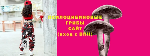 крисы Карталы