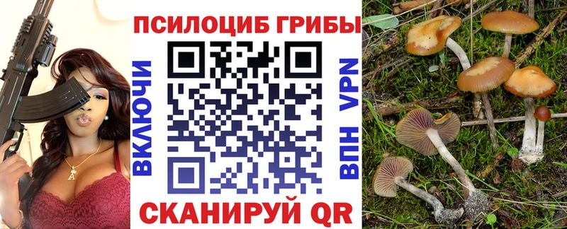 цены   Каменногорск  Псилоцибиновые грибы Magic Shrooms 